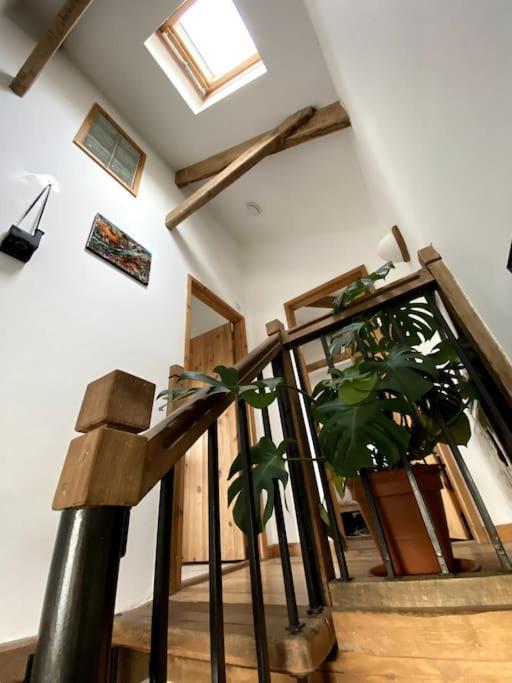 היילה 9A Viaduct Cottage - The Cosiest Bolthole In The Sw! מראה חיצוני תמונה