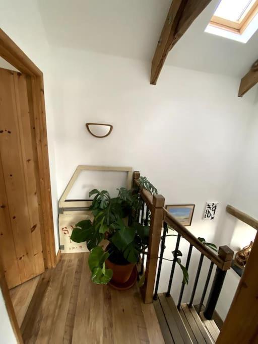 היילה 9A Viaduct Cottage - The Cosiest Bolthole In The Sw! מראה חיצוני תמונה